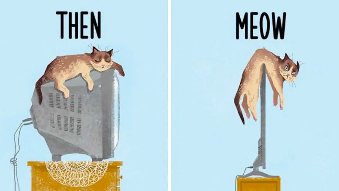 Maky vs nov modern doba